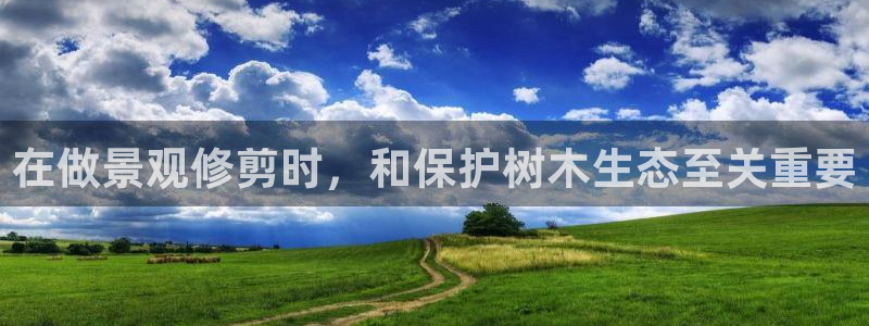 摩根娱乐宝被骗怎么办