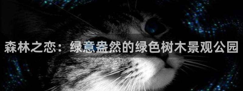 摩根娱乐挂机项目怎么样