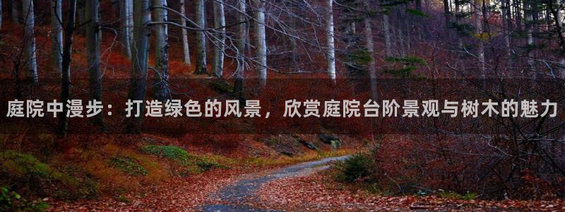 摩根娱乐文化有限公司