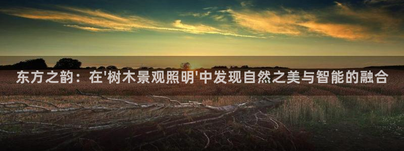 摩根娱乐50186叩杨：东方之韵：在\'树木景观照明\'中发现自然之美与智能的融合