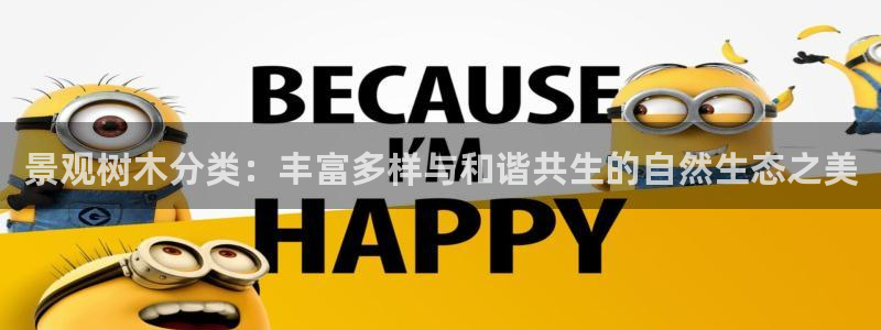 摩根娱乐宝进不去