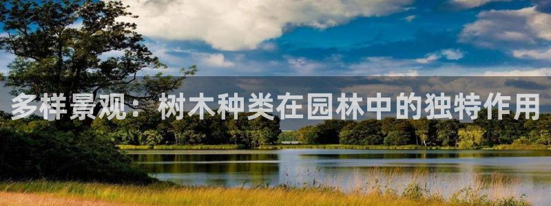 摩根娱乐总部在哪里