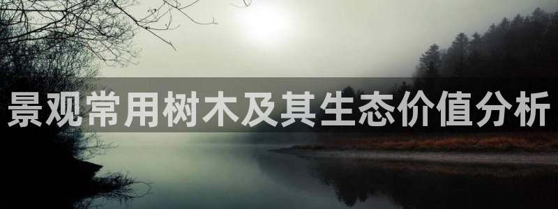 摩根娱乐宝怎么进入
