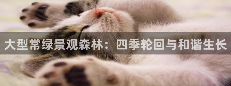 泉州摩根会娱乐会所地址