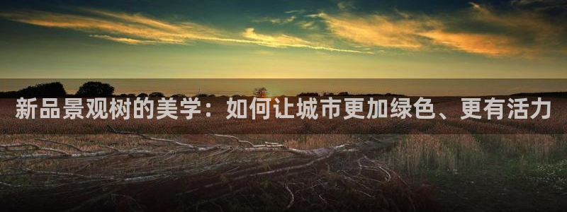 摩根国际娱乐宝官网