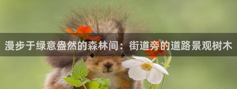 摩根 娱乐宝诈骗