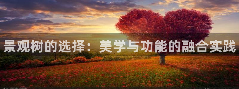 摩根娱乐50186叩