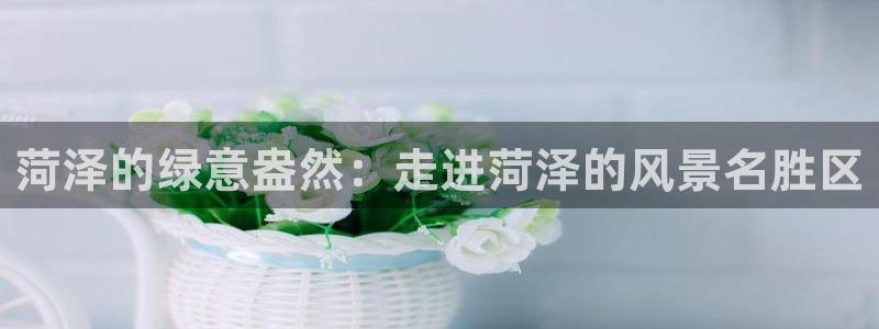 摩根娱乐宝是真的吗：菏泽的绿意盎然：走进菏泽的风景名胜区