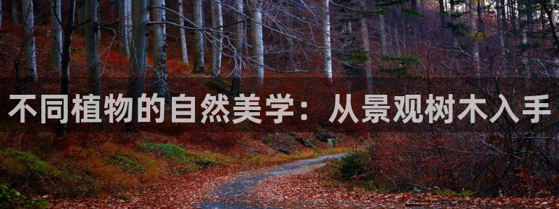摩根娱乐宝手机客户端：不同植物的自然美学：从景观树木入手