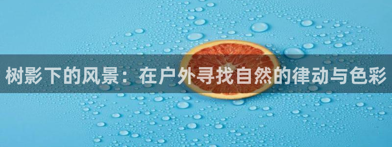 厦门摩根会娱乐