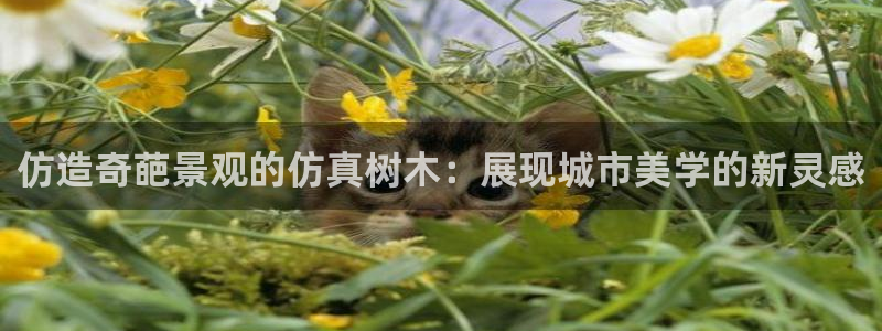 摩根士丹利凯撒娱乐