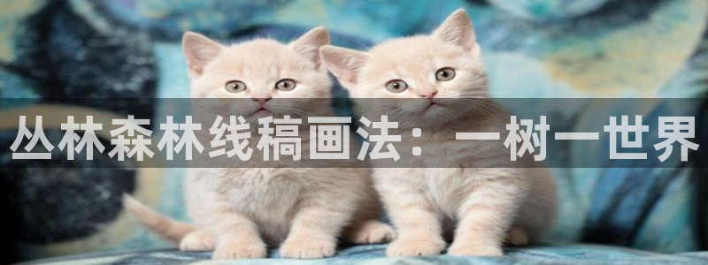 摩根娱乐信益怎么样