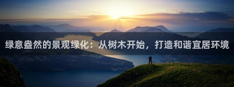 摩根360休闲娱乐：绿意盎然的景观绿化：从树木开始，打造和谐宜居环境