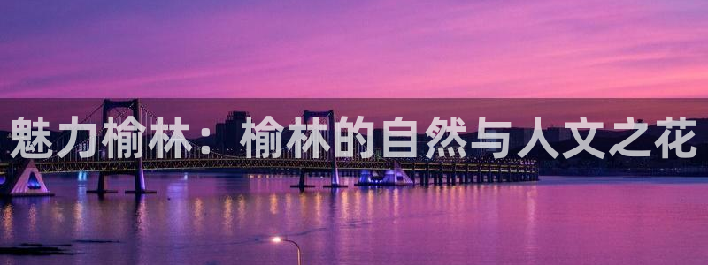 摩根娱乐主管