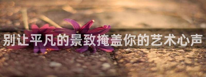 摩根娱乐老lb板50820