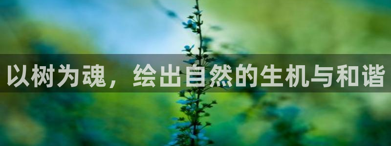 摩根大通旗下娱乐公司