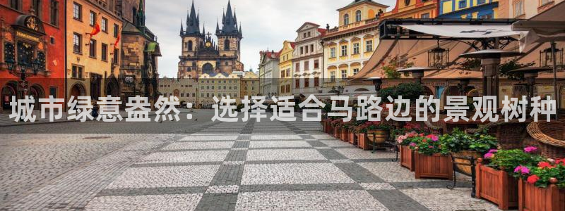 摩根士丹利娱乐