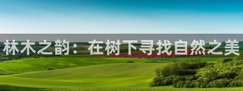 临平摩根娱乐会所怎么样