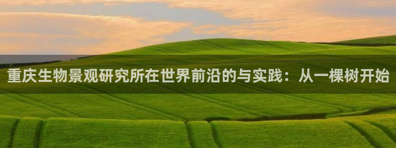 摩根娱乐宝怎么进入