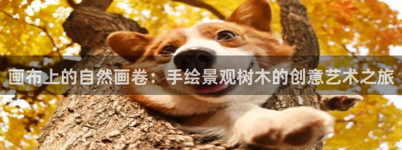 华视娱乐摩根王琛