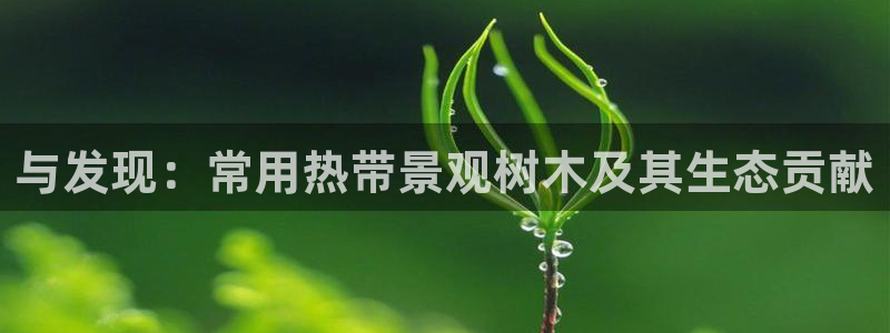 摩根娱乐彩票挂机