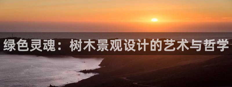 重生娱乐美日混血摩根