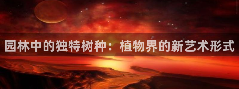 摩根娱乐宝怎么提现