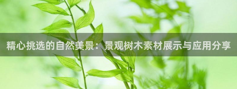 义务摩根娱乐会所电话：精心挑选的自然美景：景观树木素材展示与应用分享
