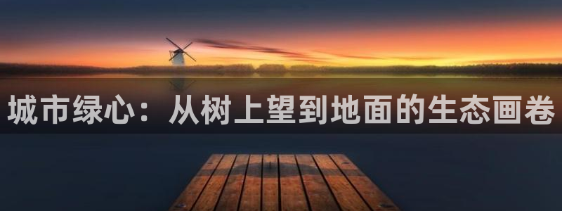 微信里面摩根娱乐宝