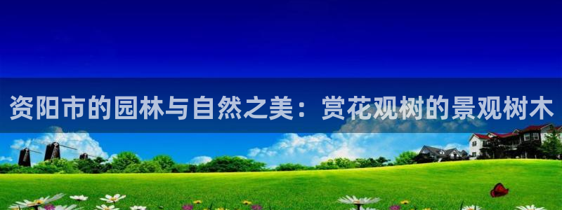 摩根娱乐宝进不去