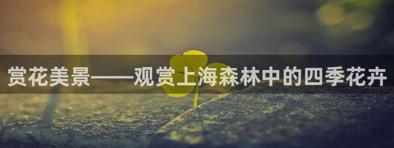 摩根娱乐宝。知道吗