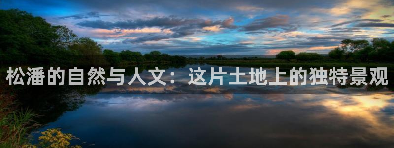 摩根娱乐50186联系