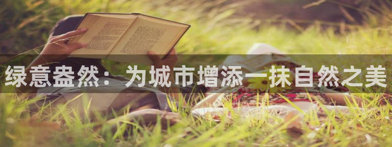 摩根娱乐50186选择