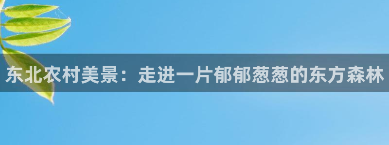 摩根娱乐宝真的假的
