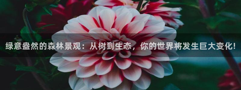 摩根娱乐宝 知道吗