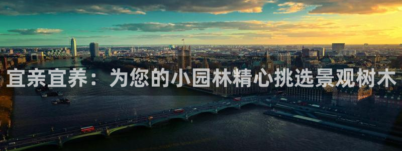 摩根360休闲娱乐