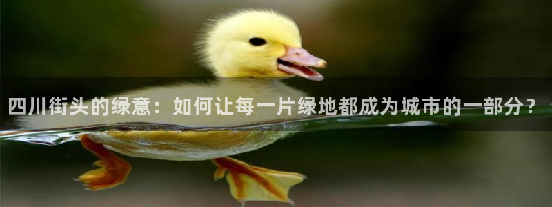 摩根娱乐宝是骗局