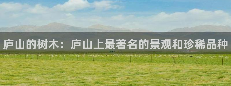 摩根娱乐50186：庐山的树木：庐山上最著名的景观和珍稀品种