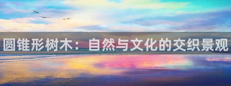 首页摩根娱乐平台