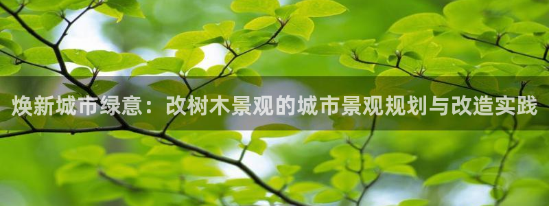 深圳摩根时代娱乐公司