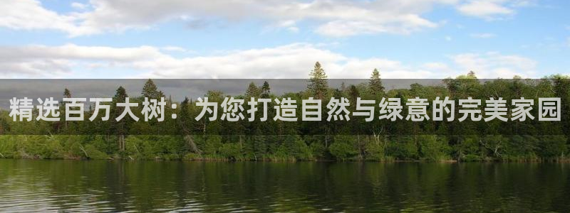 摩根360休闲娱乐：精选百万大树：为您打造自然与绿意的完美家园