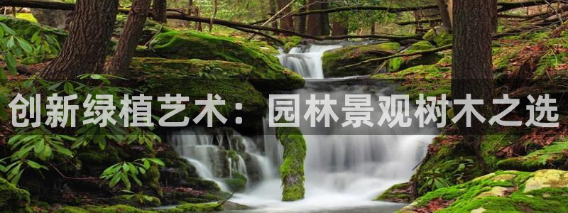 嘉兴摩根大饭店 娱乐