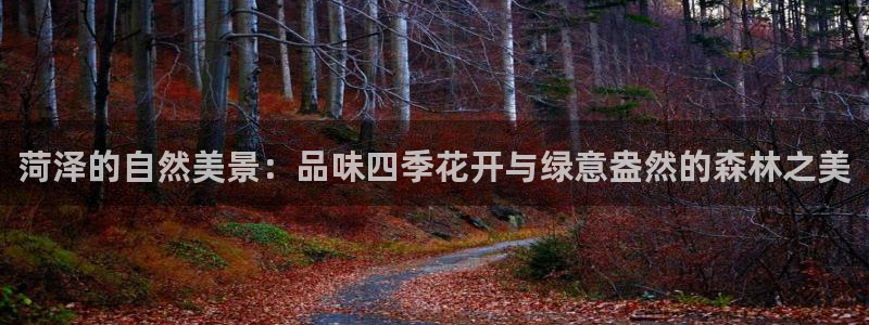 摩根娱乐主管