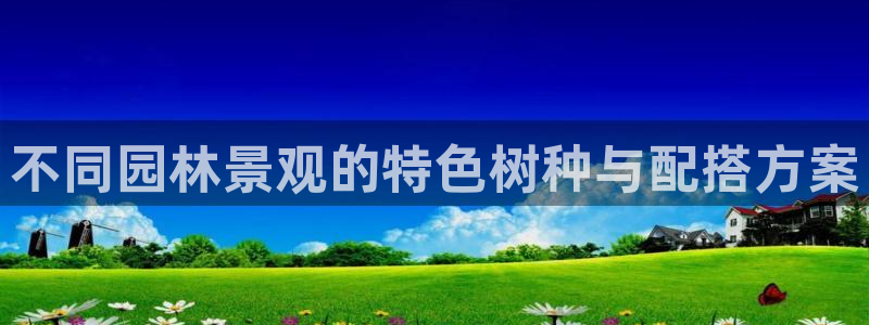 摩根360休闲娱乐