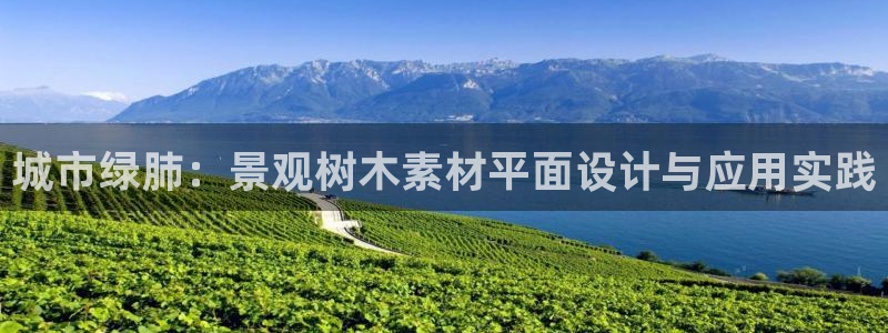 摩根娱乐包是什么