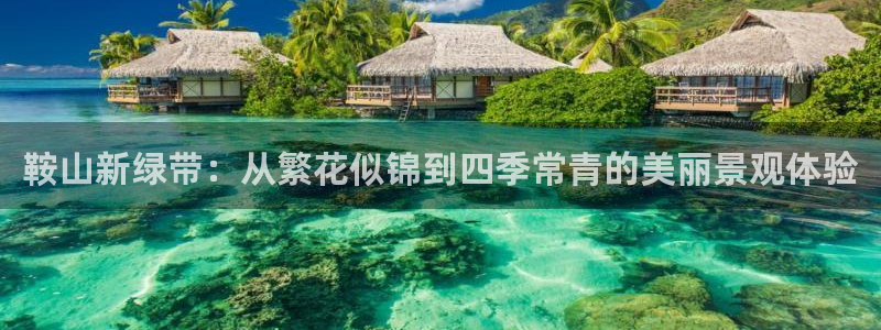 深圳摩根时代娱乐公司