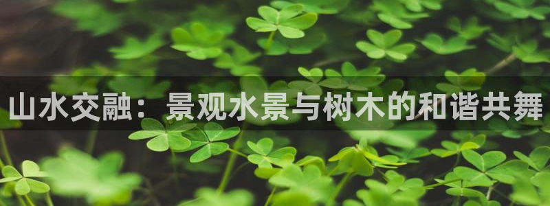 摩根娱乐宝是骗局吗