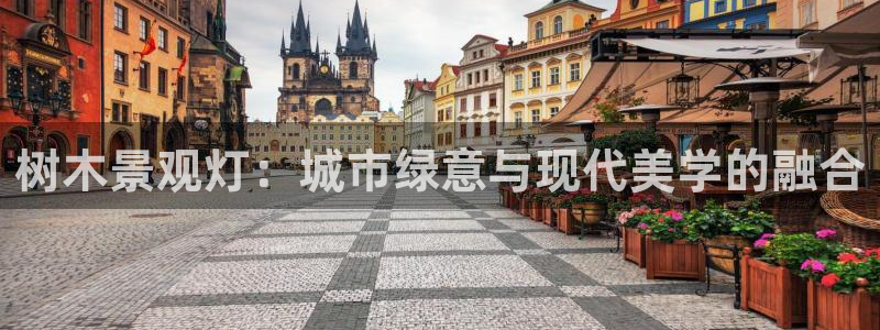 摩根克里克娱乐公司：树木景观灯：城市绿意与现代美学的融合