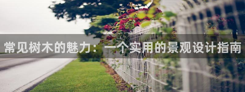 摩根娱乐和摩根国际