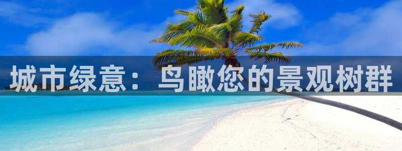 白宫摩根娱乐会所：城市绿意：鸟瞰您的景观树群